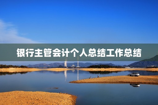 银行主管会计个人总结工作总结