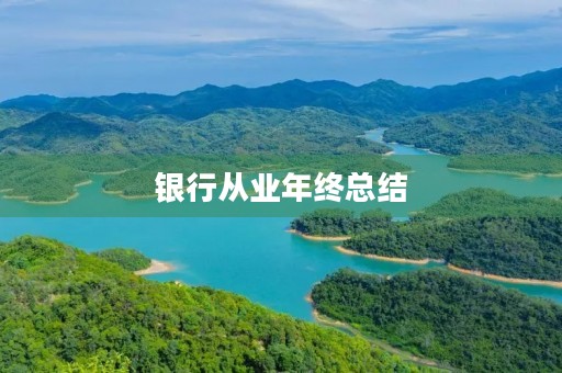 银行从业年终总结