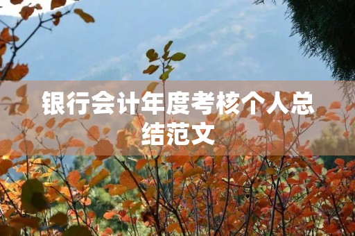 银行会计年度考核个人总结范文