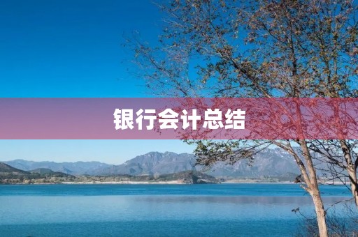 银行会计总结