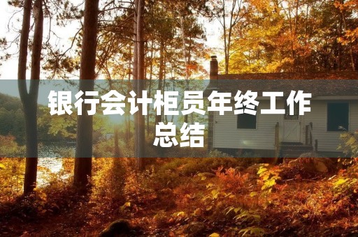 银行会计柜员年终工作总结 银行会计柜员年终工作总结