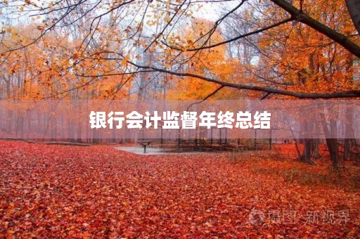 银行会计监督年终总结