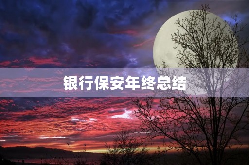 银行保安年终总结 银行保安年终总结