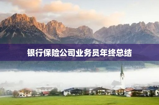 银行保险公司业务员年终总结