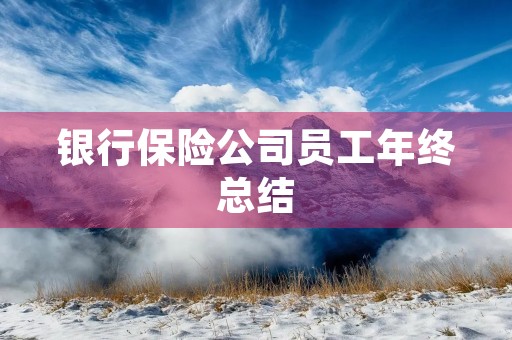 银行保险公司员工年终总结