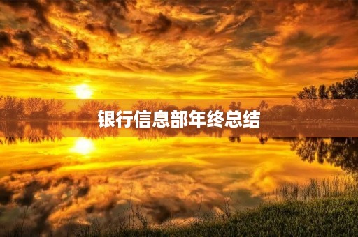 银行信息部年终总结