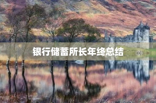 银行储蓄所长年终总结 银行储蓄所长年终总结