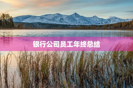 银行公司员工年终总结