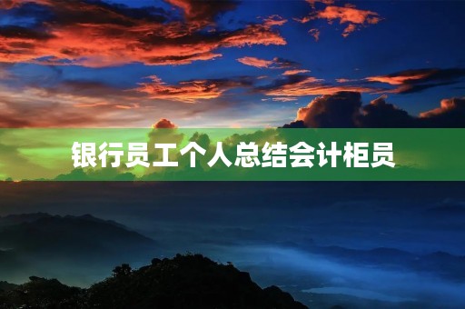 银行员工个人总结会计柜员