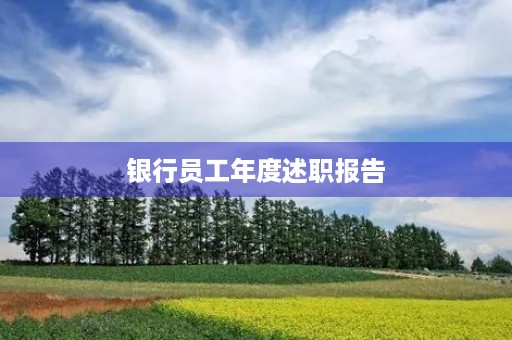 银行员工年度述职报告