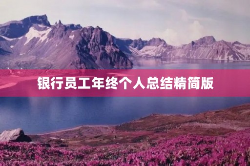 银行员工年终个人总结精简版