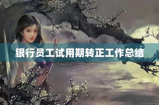 银行员工试用期转正工作总结