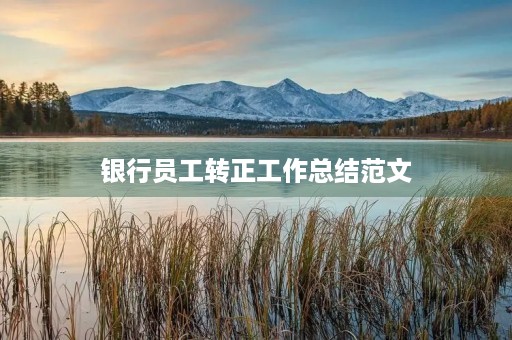 银行员工转正工作总结范文
