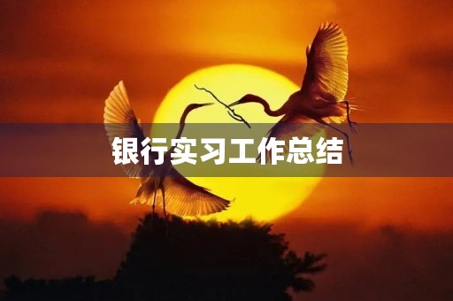 银行实习工作总结【5篇】