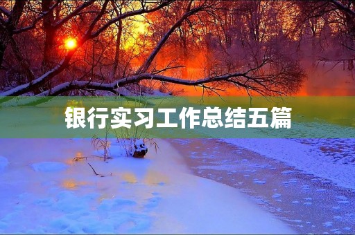 银行实习工作总结五篇 银行实习工作总结五篇