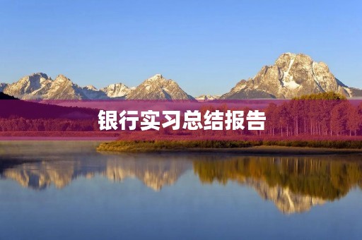 银行实习总结报告【五篇】
