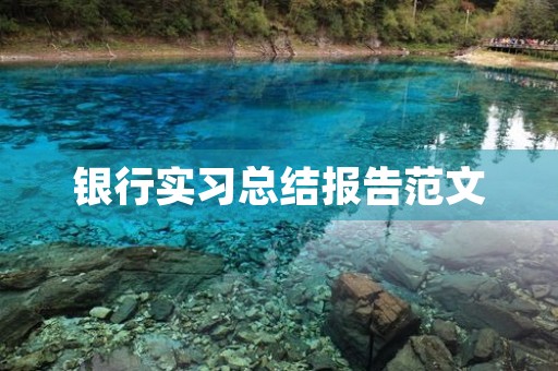 银行实习总结报告范文