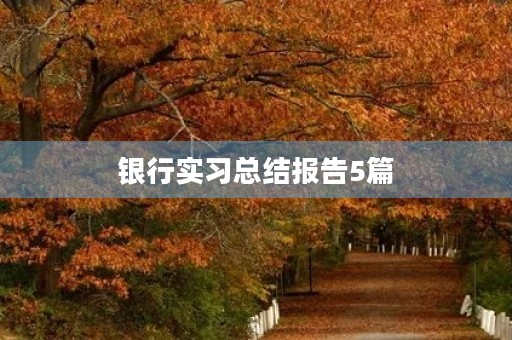 银行实习总结报告5篇 银行实习总结报告5篇