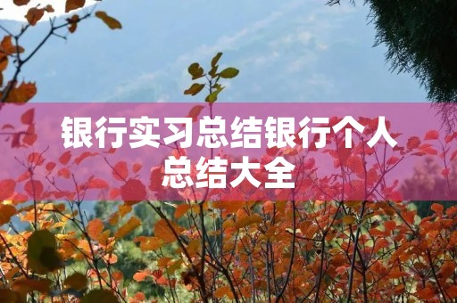 银行实习总结银行个人总结大全 银行实习总结银行个人总结大全