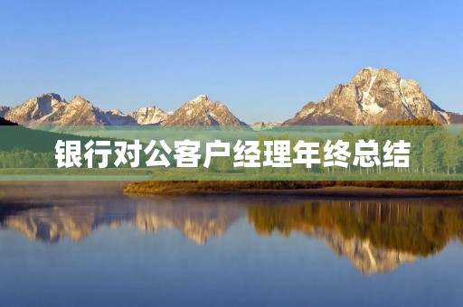 银行对公客户经理年终总结 银行对公客户经理年终总结