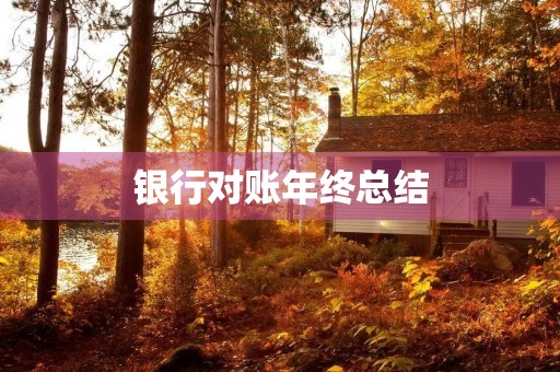 银行对账年终总结