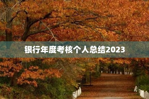 银行年度考核个人总结2023