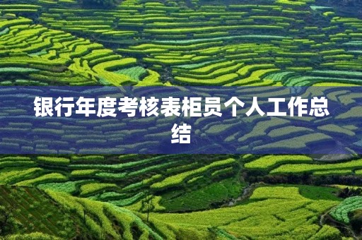 银行年度考核表柜员个人工作总结