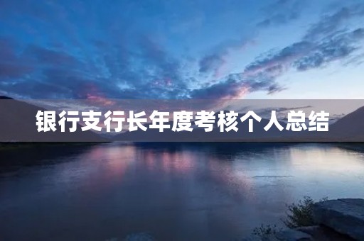 银行支行长年度考核个人总结 银行支行长年度考核个人总结