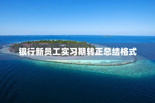 银行新员工实习期转正总结格式