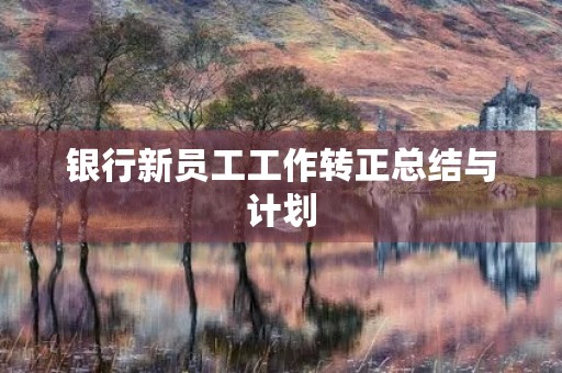 银行新员工工作转正总结与计划