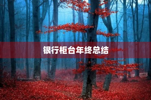 银行柜台年终总结 银行柜台年终总结