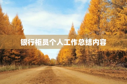 银行柜员个人工作总结内容
