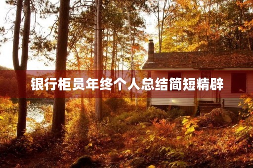 银行柜员年终个人总结简短精辟
