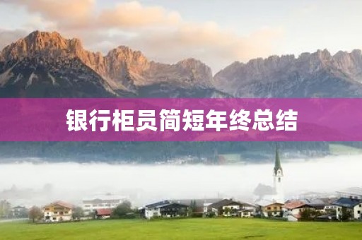 银行柜员简短年终总结 银行柜员简短年终总结