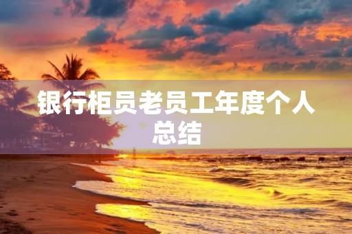银行柜员老员工年度个人总结