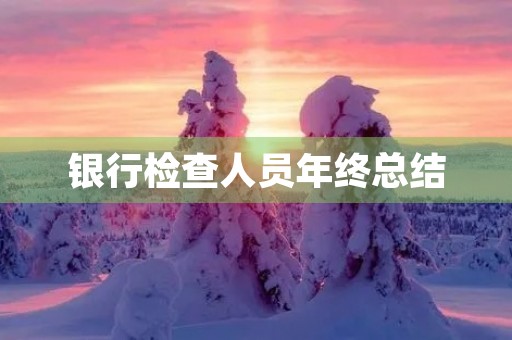 银行检查人员年终总结