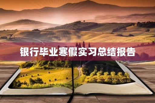 银行毕业寒假实习总结报告 银行毕业寒假实习总结报告