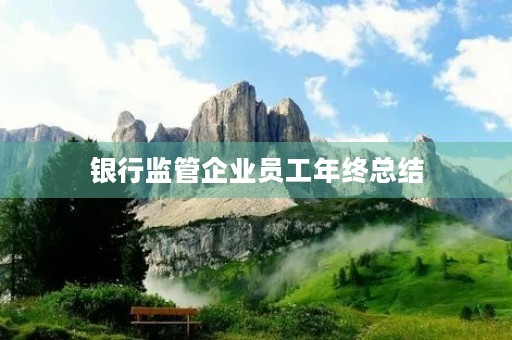 银行监管企业员工年终总结 银行监管企业员工年终总结