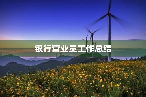 银行营业员工作总结 银行营业员工作总结