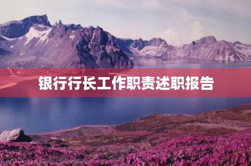 银行行长工作职责述职报告