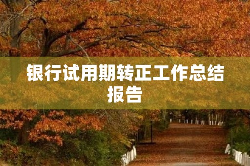 银行试用期转正工作总结报告