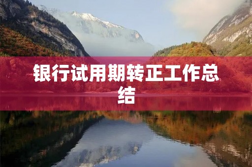 银行试用期转正工作总结
