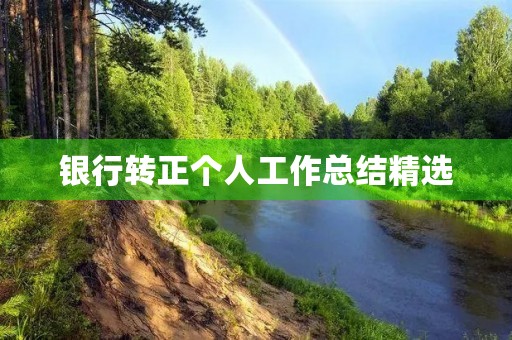 银行转正个人工作总结精选