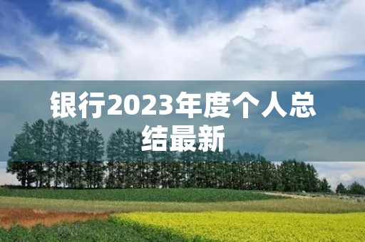 银行2023年度个人总结最新