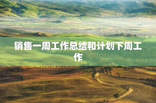 销售一周工作总结和计划下周工作