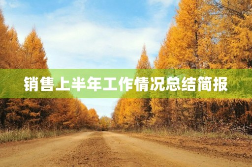 销售上半年工作情况总结简报