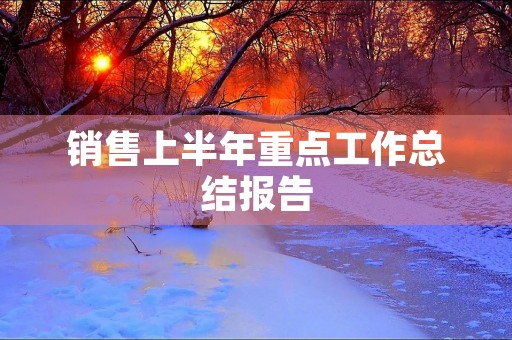 销售上半年重点工作总结报告