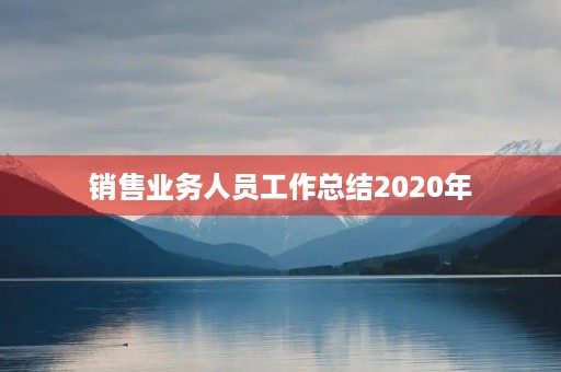 销售业务人员工作总结2020年