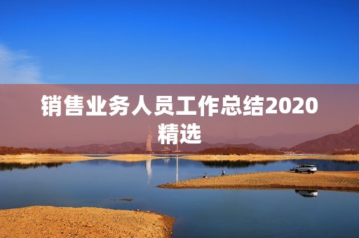 销售业务人员工作总结2020精选