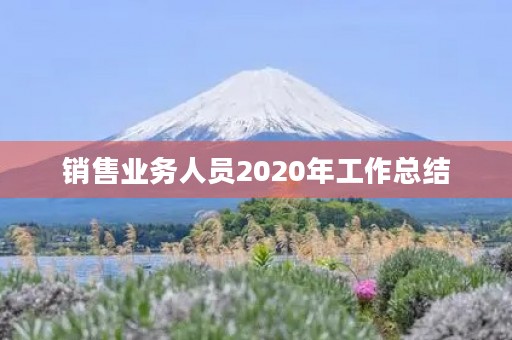 销售业务人员2020年工作总结